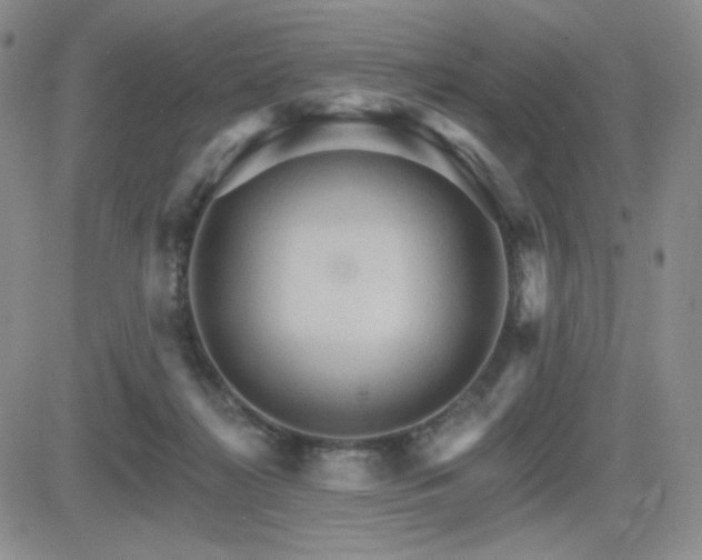 X0000084520268200702231142