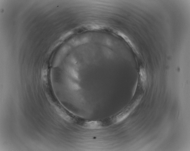 X0000084520269200702231142