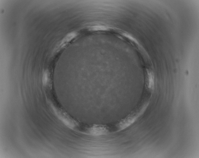 X0000084520270200702231142