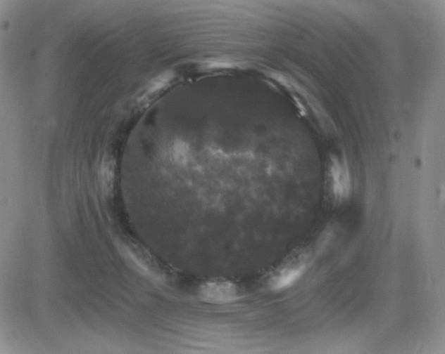 X0000084520271200702231142