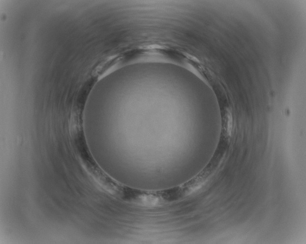 X0000084520272200702231142