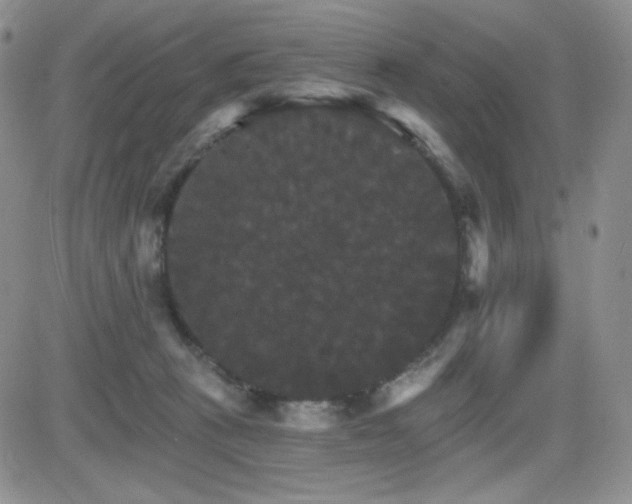 X0000084520273200702231142