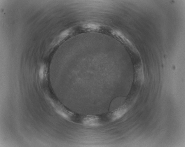 X0000084520274200702231142