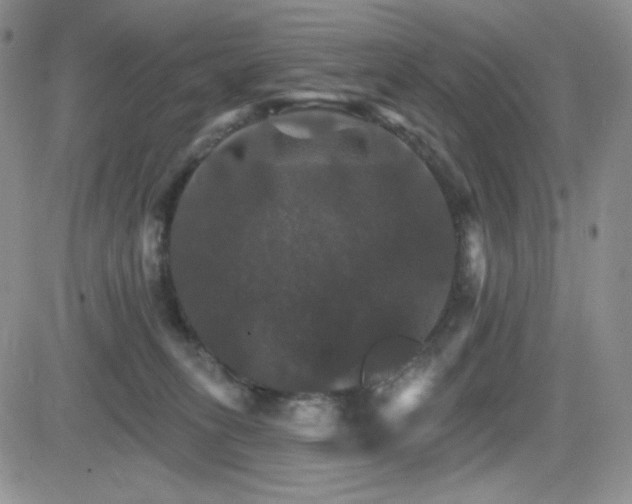 X0000084520275200702231142