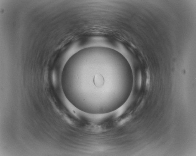 X0000084520276200702231142