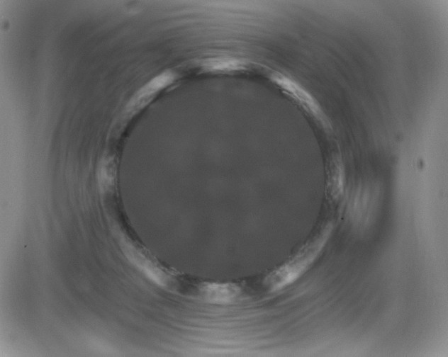 X0000084520277200702231142