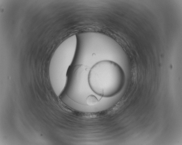 X0000084520278200702231142