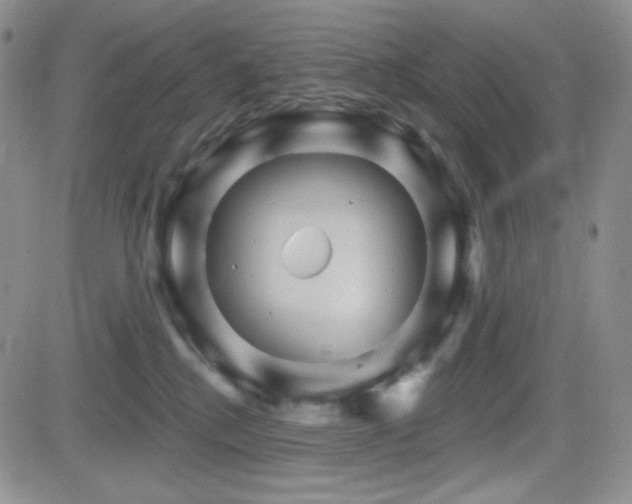 X0000084520280200702231142