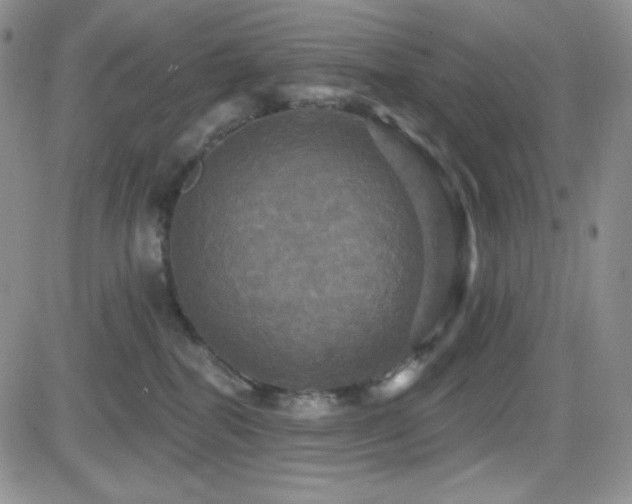 X0000084520282200702231142