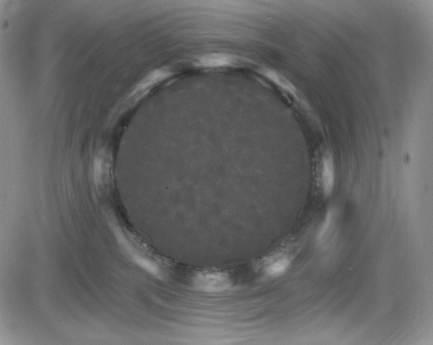 X0000084520283200702231142