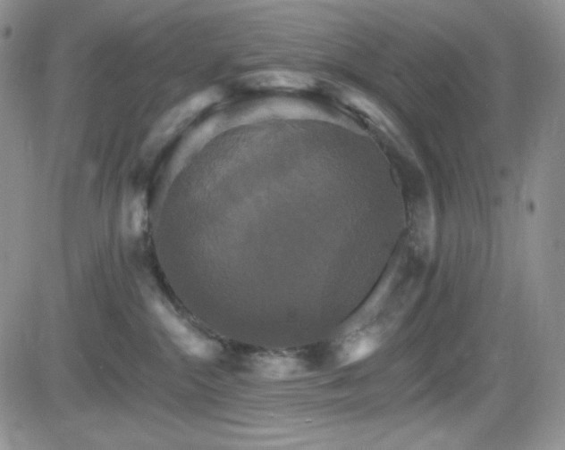 X0000084520284200702231142