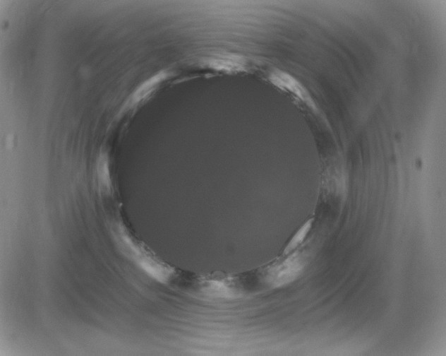 X0000084520285200702231142