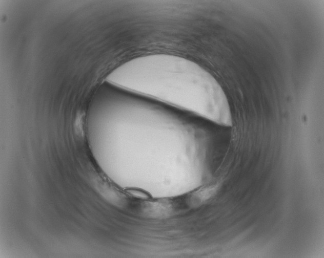 X0000084520286200702231142