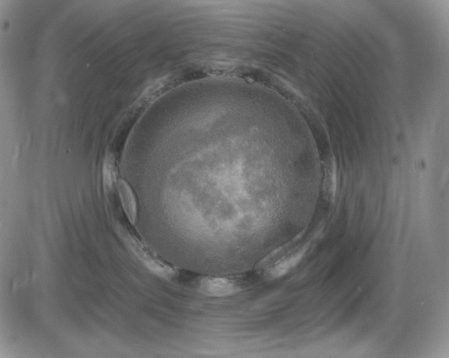 X0000084520287200702231142