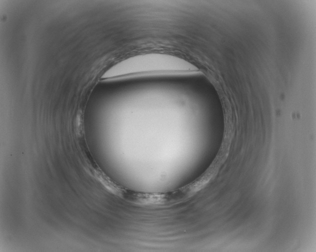 X0000084520288200702231142