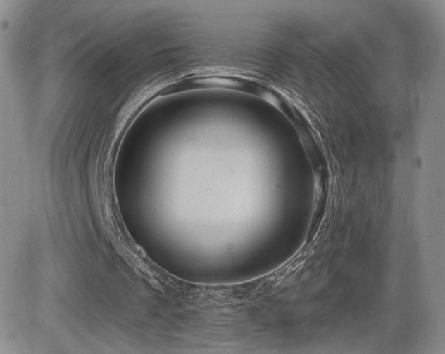 X0000084520289200702231142