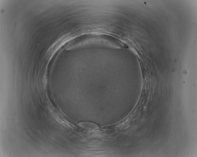 X0000084520290200702231142