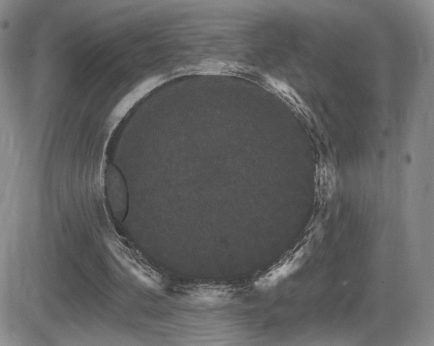 X0000084520292200702231142