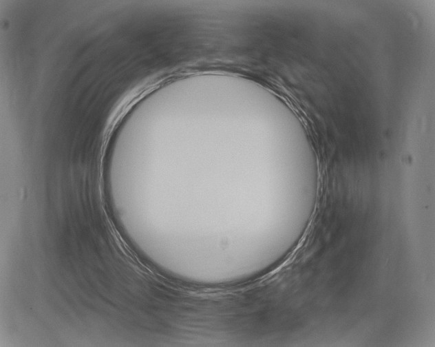 X0000084520293200702231142