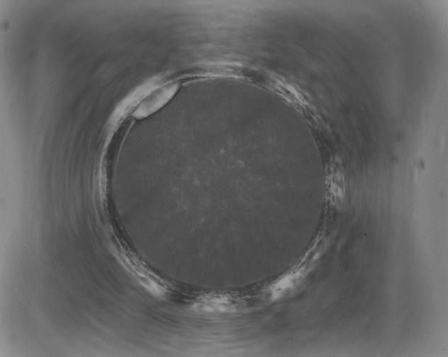 X0000084520294200702231142