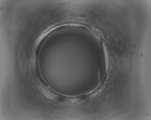 X0000084520295200702231142