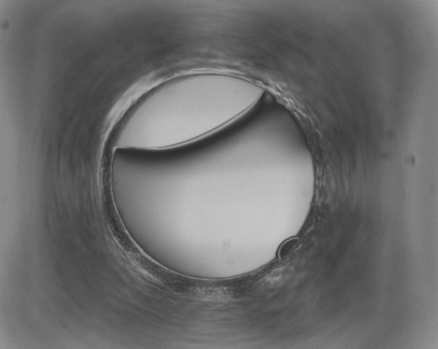 X0000084520296200702231142