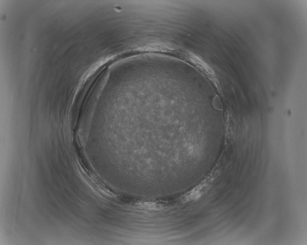 X0000084520298200702231141