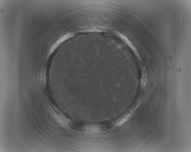 X0000084520299200702231141