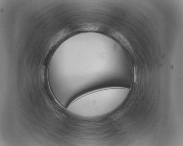 X0000084520300200702231141