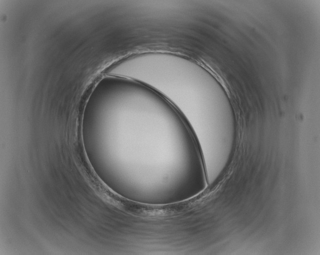 X0000084520301200702231141