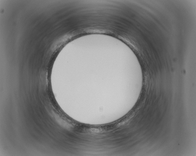 X0000084520302200702231141