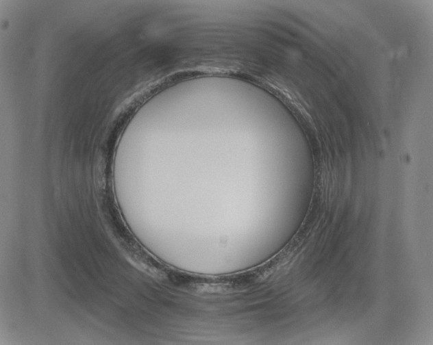 X0000084520303200702231141