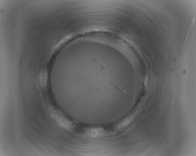 X0000084520304200702231141