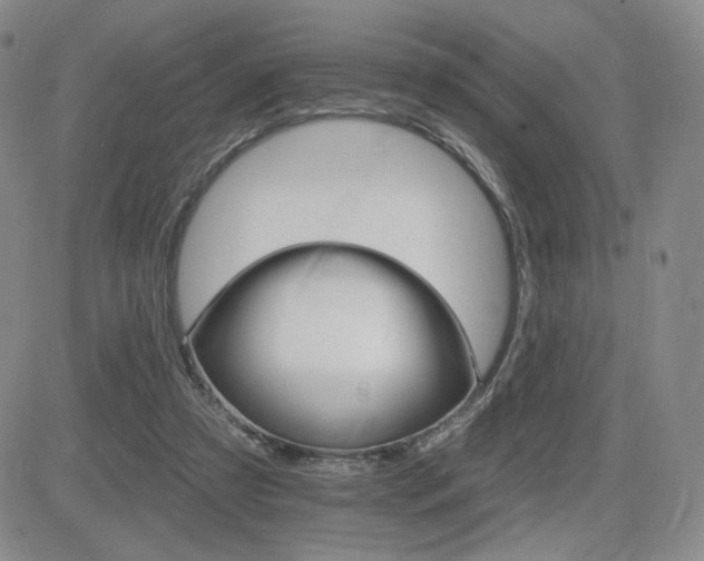 X0000084520305200702231141