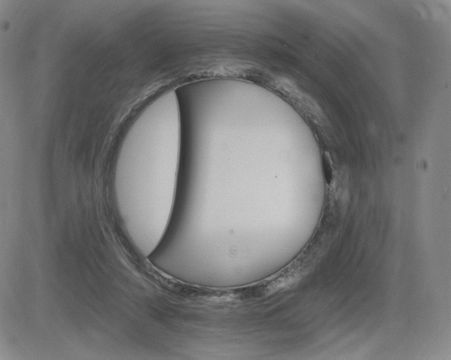 X0000084520306200702231141