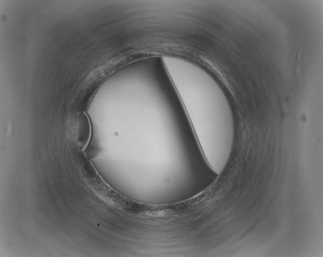 X0000084520307200702231141