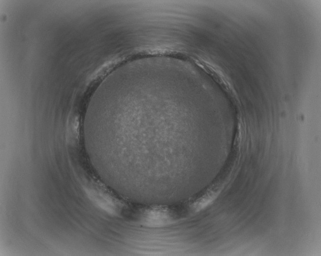 X0000084520308200702231141