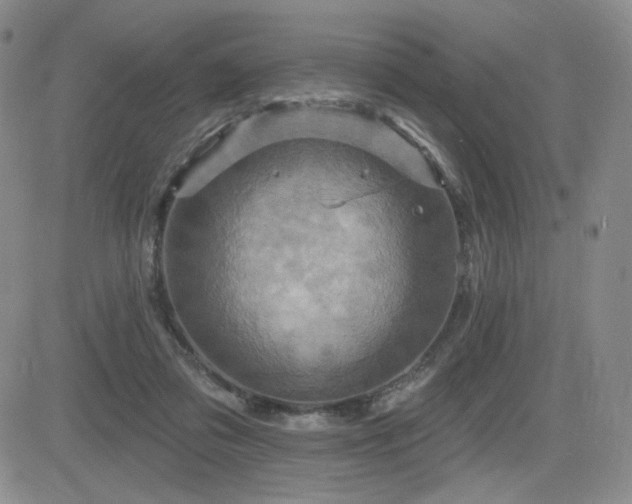 X0000084520309200702231141