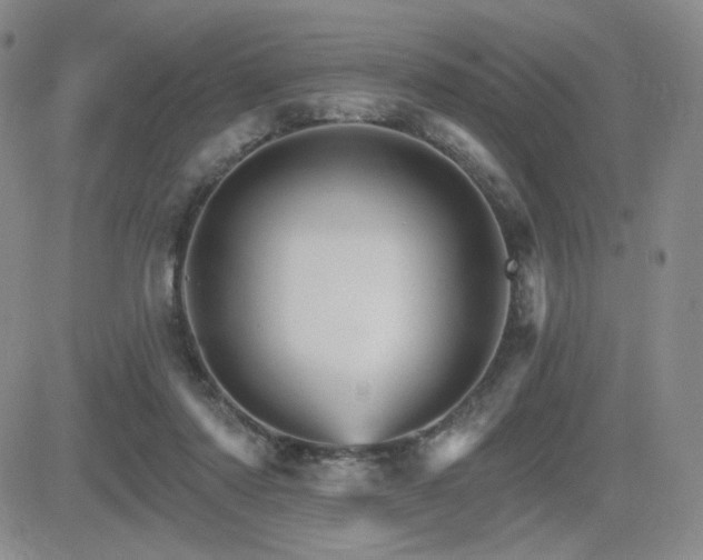 X0000084520310200702231141