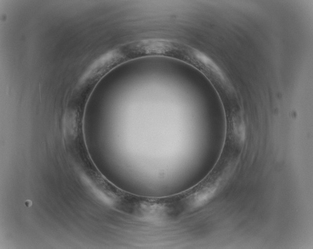 X0000084520311200702231141