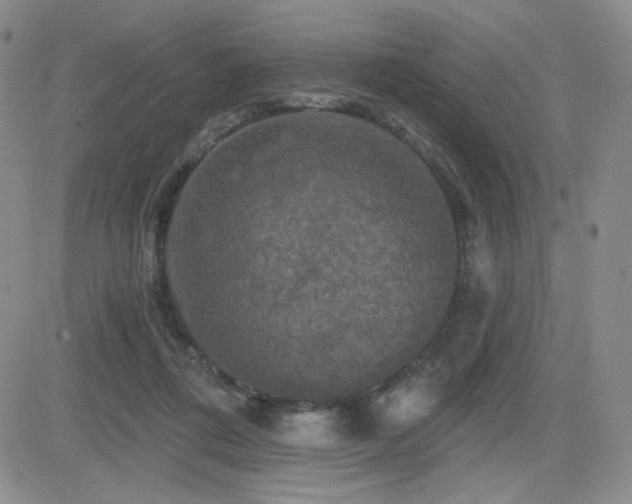 X0000084520312200702231141