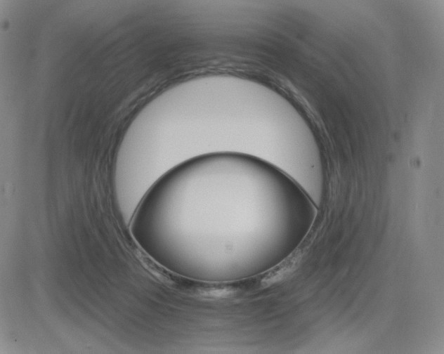 X0000084520313200702231141