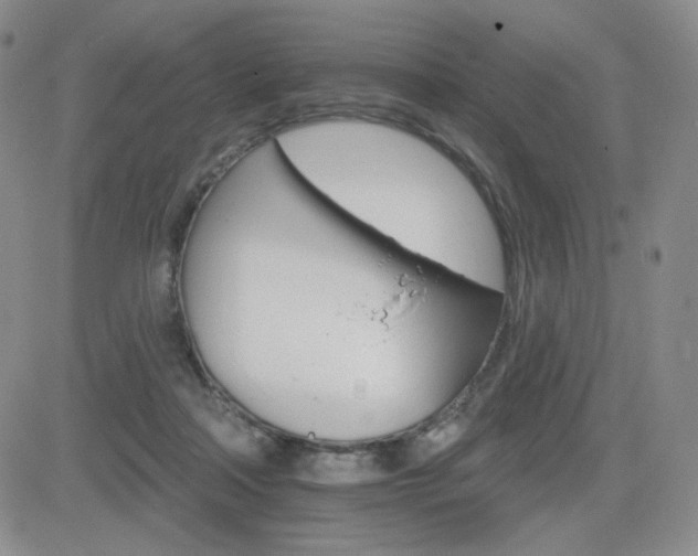 X0000084520314200702231141