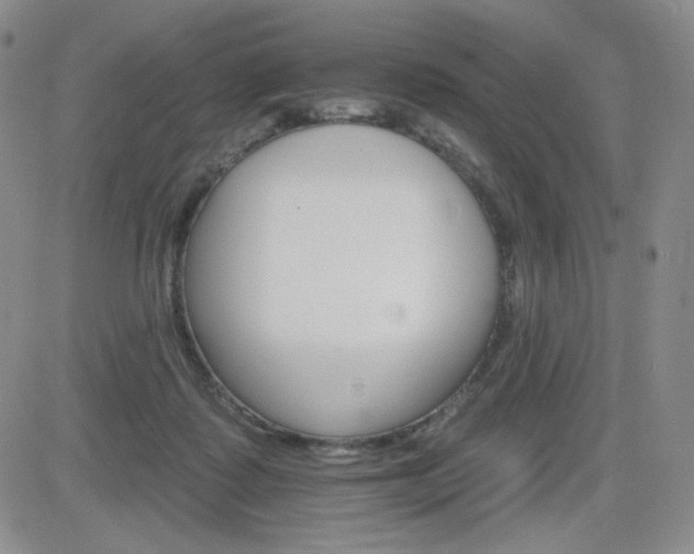 X0000084520315200702231141