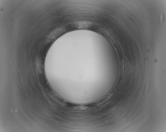 X0000084520316200702231141