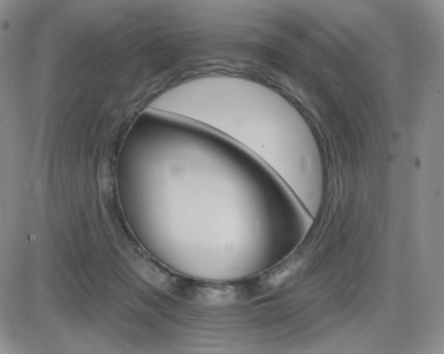 X0000084520317200702231141