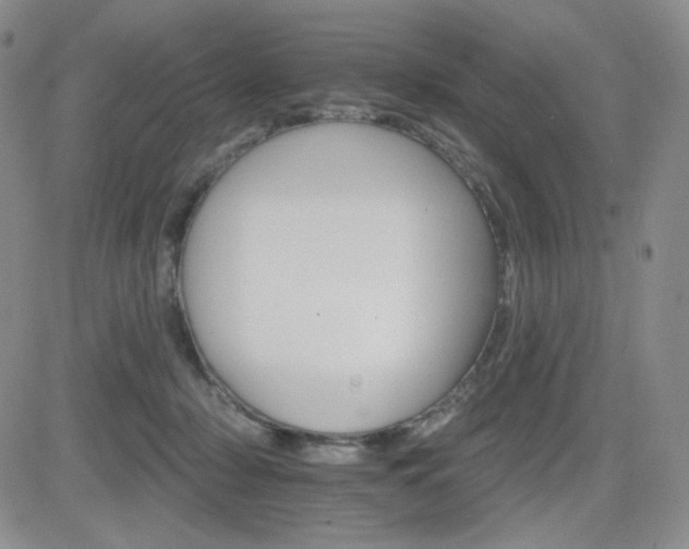 X0000084520318200702231141