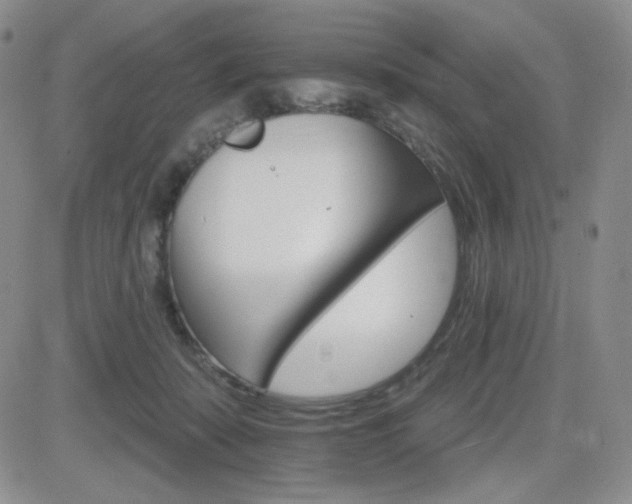 X0000084520319200702231141