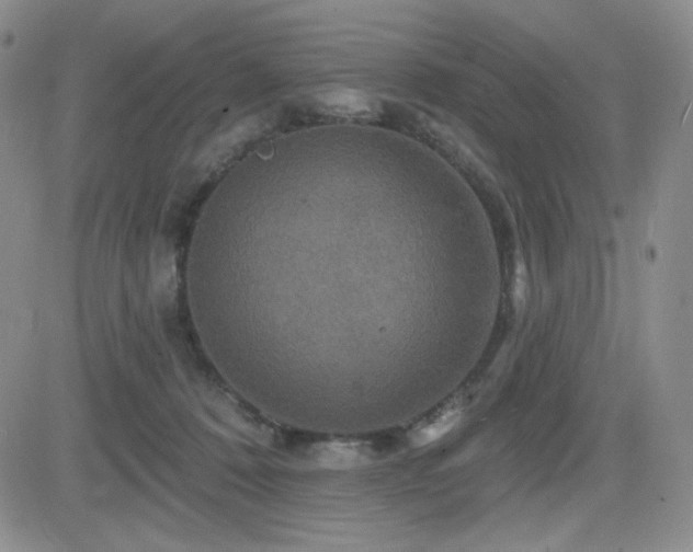 X0000084520320200702231141