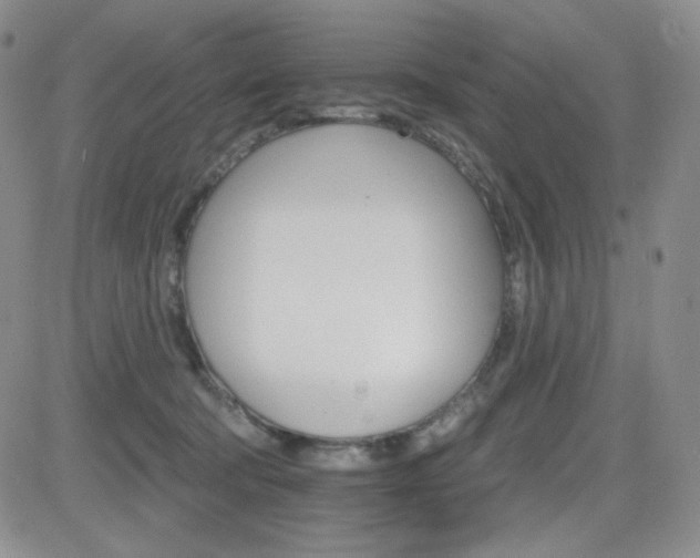 X0000084520322200702231141